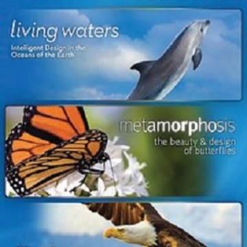 DESIGN OF LIFE COLLECTION