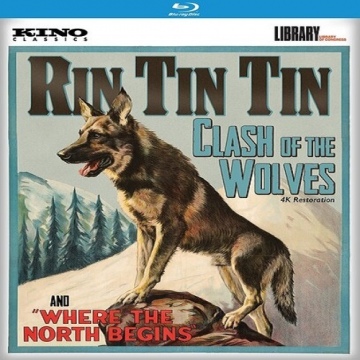 Rin Tin Tin Clash of the Wolves