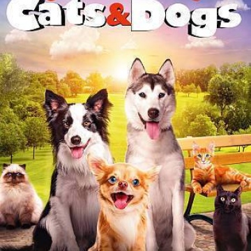 The Secret Life of Cats & Dogs